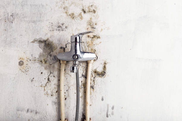 Best Health and Safety Mold Remediation in Troutdale, OR