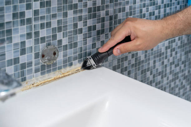 Best DIY Mold Remediation Support Services in Troutdale, OR