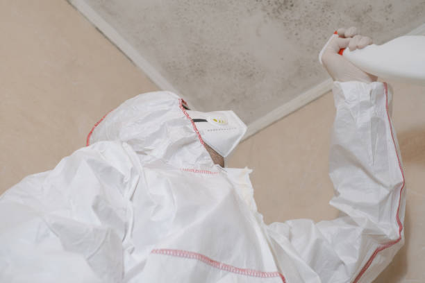 Best Industrial Mold Remediation in Troutdale, OR